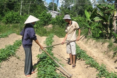 “Vé vớt” nào cho chàng trai thi ĐH đạt 25 điểm bị “trục trặc lý lịch”? - 2 “Vé vớt” nào cho chàng trai thi ĐH đạt 25 điểm bị “trục trặc lý lịch”? - 2