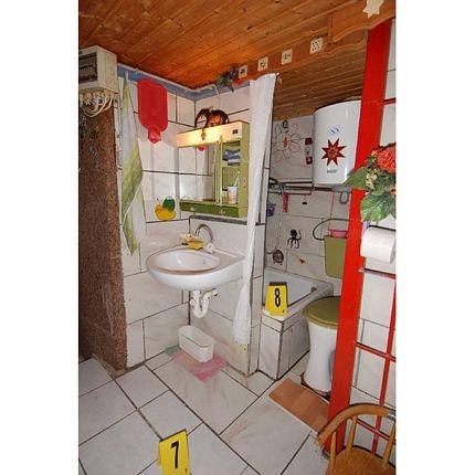 Những vụ bắt cóc trẻ em nổi tiếng trong lịch sử  - 7