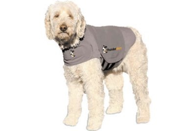 Những thiết bị high-tech độc đáo dành cho thú cưng - 3