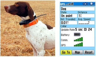 Những thiết bị high-tech độc đáo dành cho thú cưng - 5