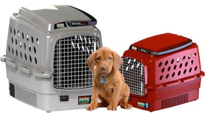 Những thiết bị high-tech độc đáo dành cho thú cưng - 10