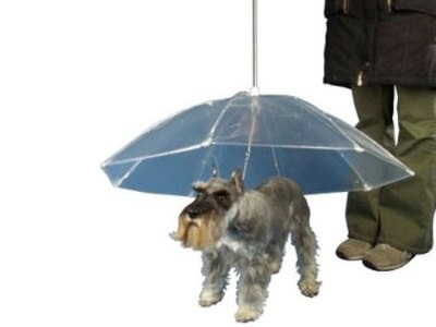 Những thiết bị high-tech độc đáo dành cho thú cưng - 11