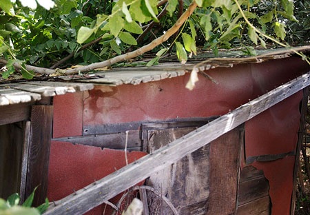 Bên trong nhà tù của "nô lệ tình dục" Mỹ - 22