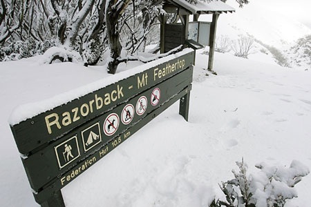 Australia tìm thấy bộ trưởng mất tích trên núi - 7