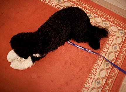 Chùm ảnh “độc” của Obama nơi hậu trường - 5