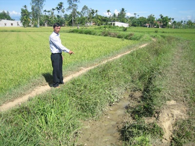 Kênh dẫn nước bị chặn, nông dân “nhịn đói”  - 2