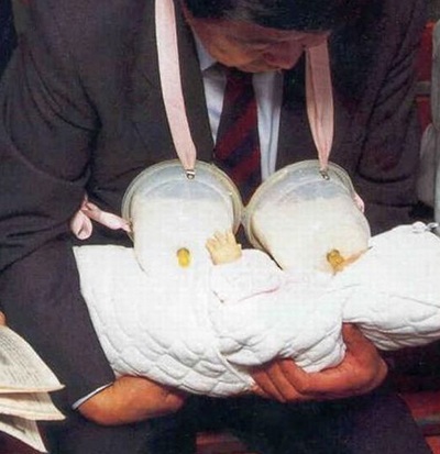 Chùm ảnh vui: Những điều thú vị chỉ có ở Nhật Bản - 6