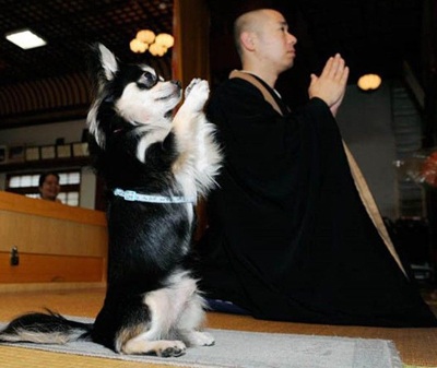 Chùm ảnh vui: Những điều thú vị chỉ có ở Nhật Bản - 16