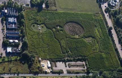 Mê cung giữa bụng bò - 4