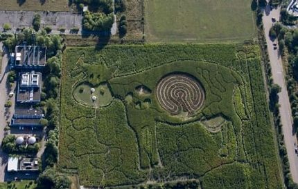 Mê cung giữa bụng bò - 3