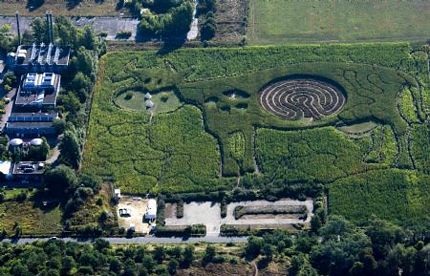 Mê cung giữa bụng bò - 2