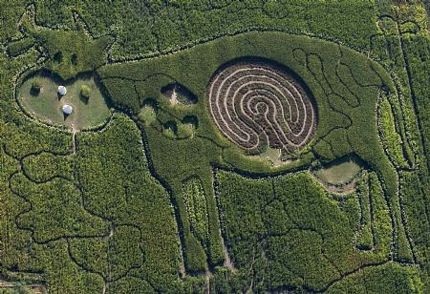 Mê cung giữa bụng bò - 1