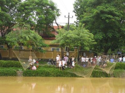 Rủ nhau kéo cá ngày mưa - 2 Rủ nhau kéo cá ngày mưa - 2