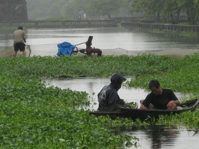 Rủ nhau kéo cá ngày mưa - 4 Rủ nhau kéo cá ngày mưa - 4