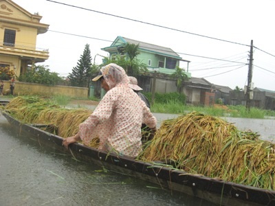 Miền Trung điêu đứng vì mưa lũ - 1 Miền Trung điêu đứng vì mưa lũ - 1