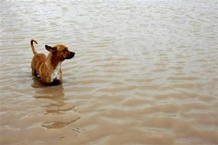 Những hình ảnh ấn tượng trong tuần - 1