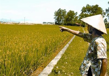 Không được lấy đất lúa làm sân golf - 1 Không được lấy đất lúa làm sân golf - 1