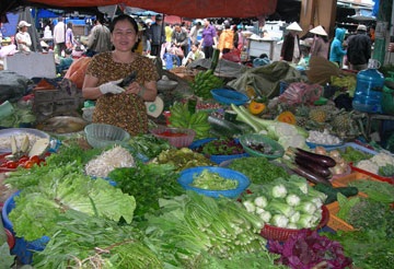 Mưa lũ “đẩy” giá rau xanh tăng nhẹ - 1 Mưa lũ “đẩy” giá rau xanh tăng nhẹ - 1