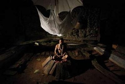 Sống chung nhà với 4.600 con bọ cạp - 7