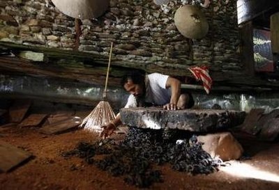 Sống chung nhà với 4.600 con bọ cạp - 2