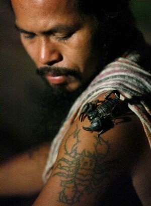 Sống chung nhà với 4.600 con bọ cạp - 4