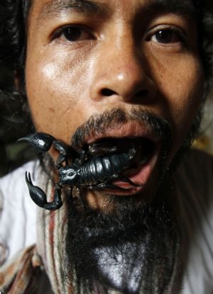 Sống chung nhà với 4.600 con bọ cạp - 3