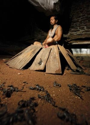 Sống chung nhà với 4.600 con bọ cạp - 6