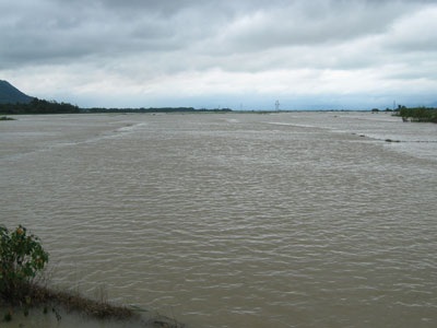 Núi lở, lúa ngập vì mưa lớn - 1