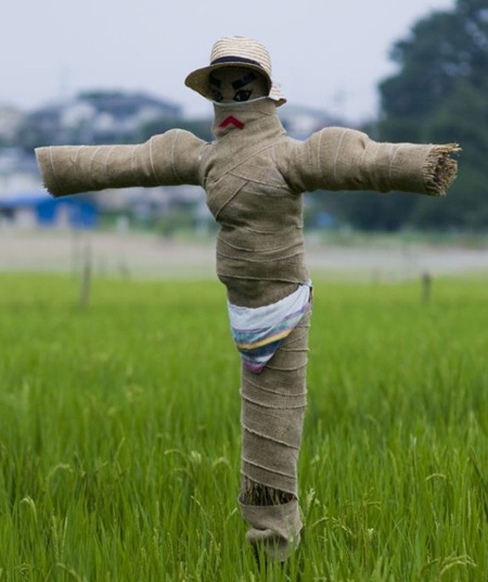 Chùm ảnh vui: Bù nhìn cũng làm điệu - 2