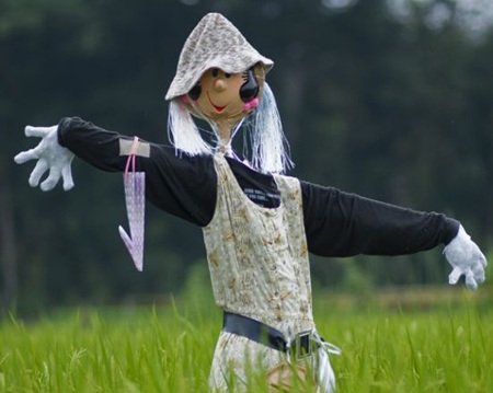 Chùm ảnh vui: Bù nhìn cũng làm điệu - 6