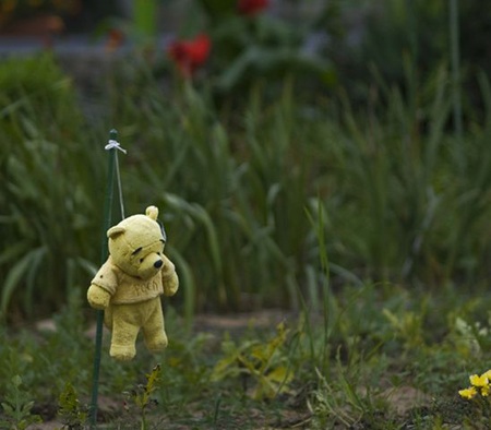 Chùm ảnh vui: Bù nhìn cũng làm điệu - 7