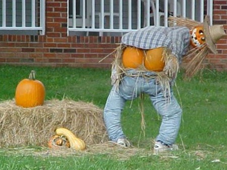 Chùm ảnh vui: Bù nhìn cũng làm điệu - 8