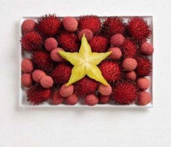 Quốc kỳ thực phẩm - 1