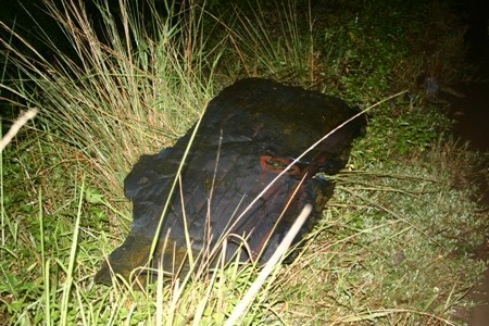 Hỏa hoạn kinh hoàng tại KCN Phú Thị - 4