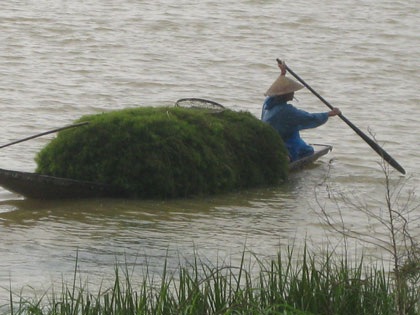 Lướt thướt mưu sinh trong mưa - 12