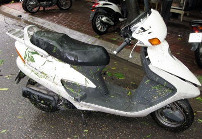 Cây phượng 10 tuổi bật gốc, chắn ngang phố Triệu Việt Vương - 3 Cây phượng 10 tuổi bật gốc, chắn ngang phố Triệu Việt Vương - 3