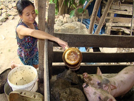 Lận đận một kiếp “Vịt què”... - 3