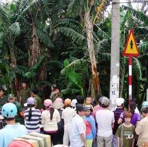 Phát hiện bé gái 8 tuổi chết trong vườn chuối - 1