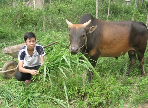 Chàng trai thủ khoa từ bỏ… thủ  khoa - 1
