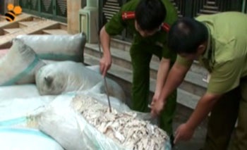 Khổ vì phải “ôm” 1 tấn bì lợn thối - 1