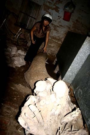 Đột phá hai cơ sở tàng trữ hàng tấn gỗ sưa tươi - 3