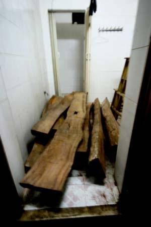 Đột phá hai cơ sở tàng trữ hàng tấn gỗ sưa tươi - 1