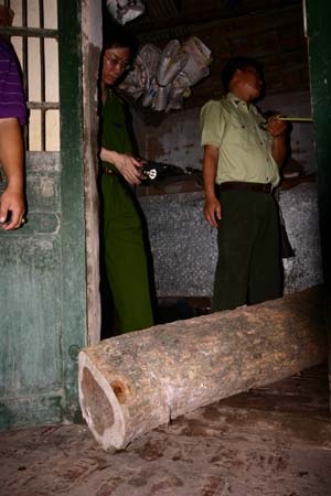 Đường dây nóng ngăn chặn lâm tặc giữa lòng Hà Nội - 1 Đường dây nóng ngăn chặn lâm tặc giữa lòng Hà Nội - 1