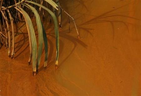 Làng ung thư ở Trung Quốc - 4