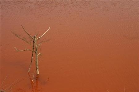 Làng ung thư ở Trung Quốc - 6