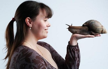 Những kỷ lục kỳ quặc nhất trong sách Guinness 2010 (2) - 7