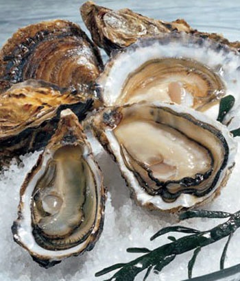 Đông y và những vị thuốc đặc biệt - 2 Đông y và những vị thuốc đặc biệt - 2