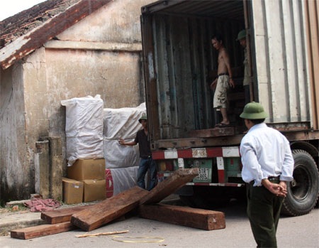 Phát hiện container chở gần 20m3 gỗ quý hiếm - 1