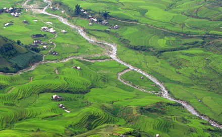 Ảnh đẹp “sóng lúa” vùng cao - 1