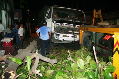 Xe rác ủi bay một sinh viên, “hạ gục” một cây bàng - 1